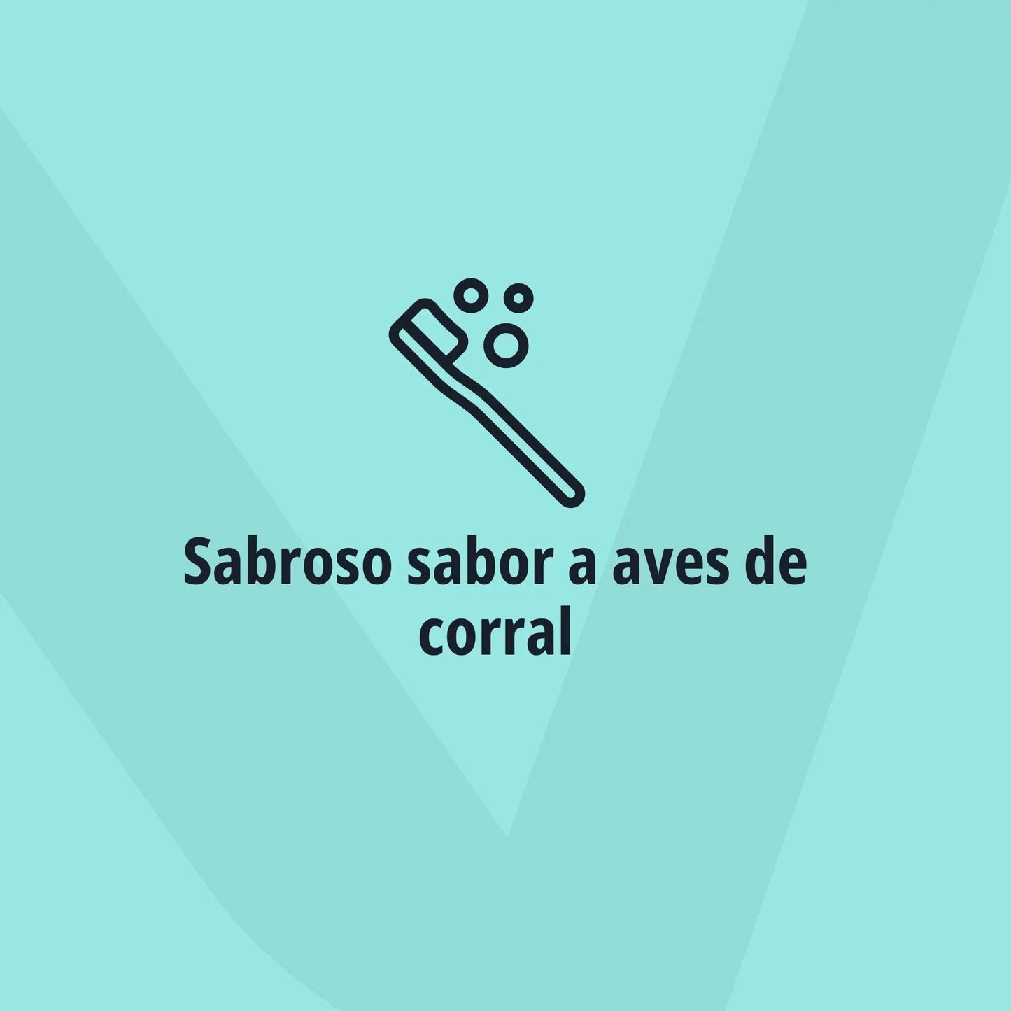 Icono lineal de cepillo de dientes con burbujas sobre fondo verde menta con logo Virbac en marca de agua y texto Sabroso sabor a aves de corral