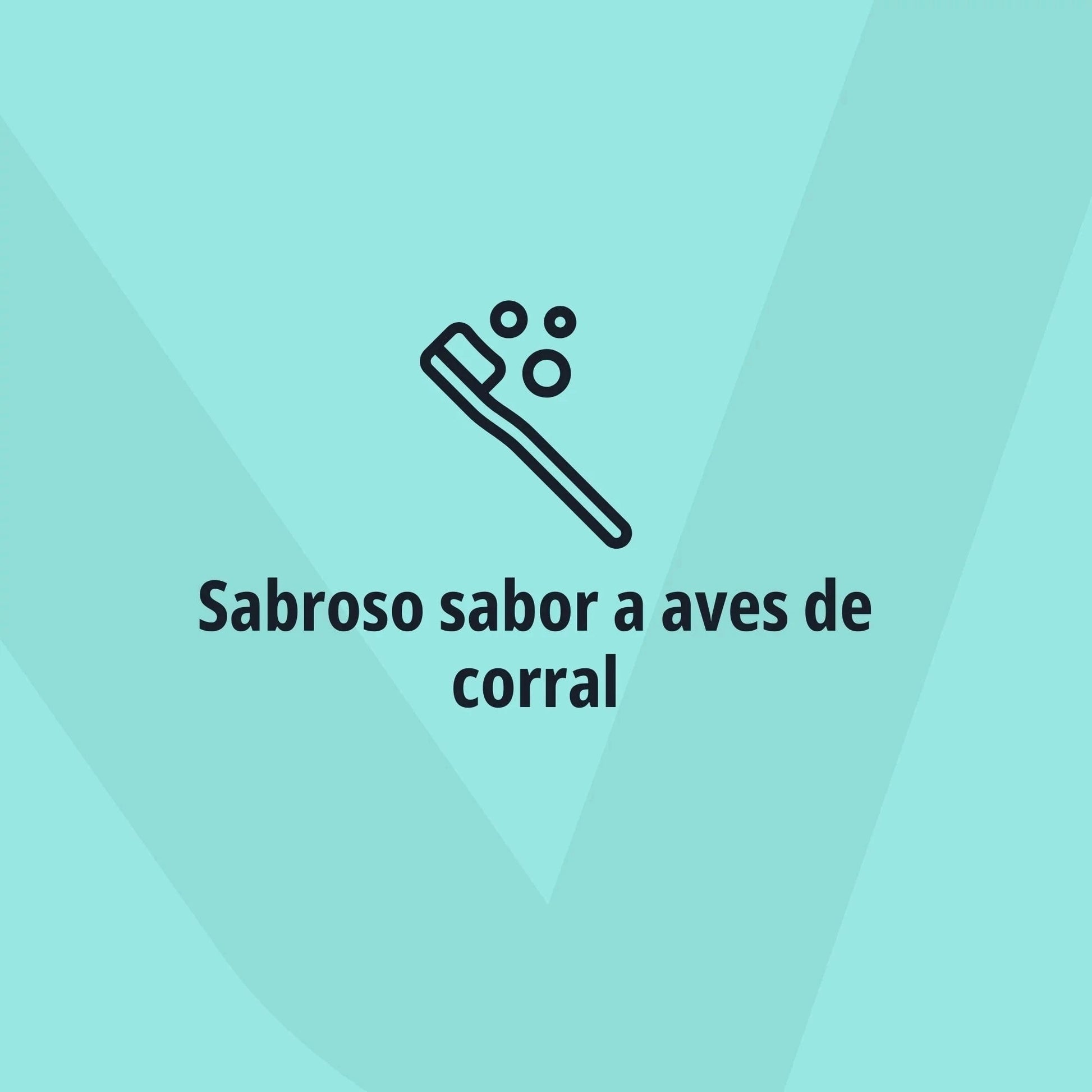 Icono lineal de cepillo de dientes con burbujas sobre fondo verde menta con logo Virbac en marca de agua y texto Sabroso sabor a aves de corral