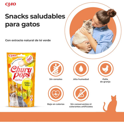 Mujer abrazando a un gato atigrado junto a la bolsa amarilla y cinco iconos de la receta