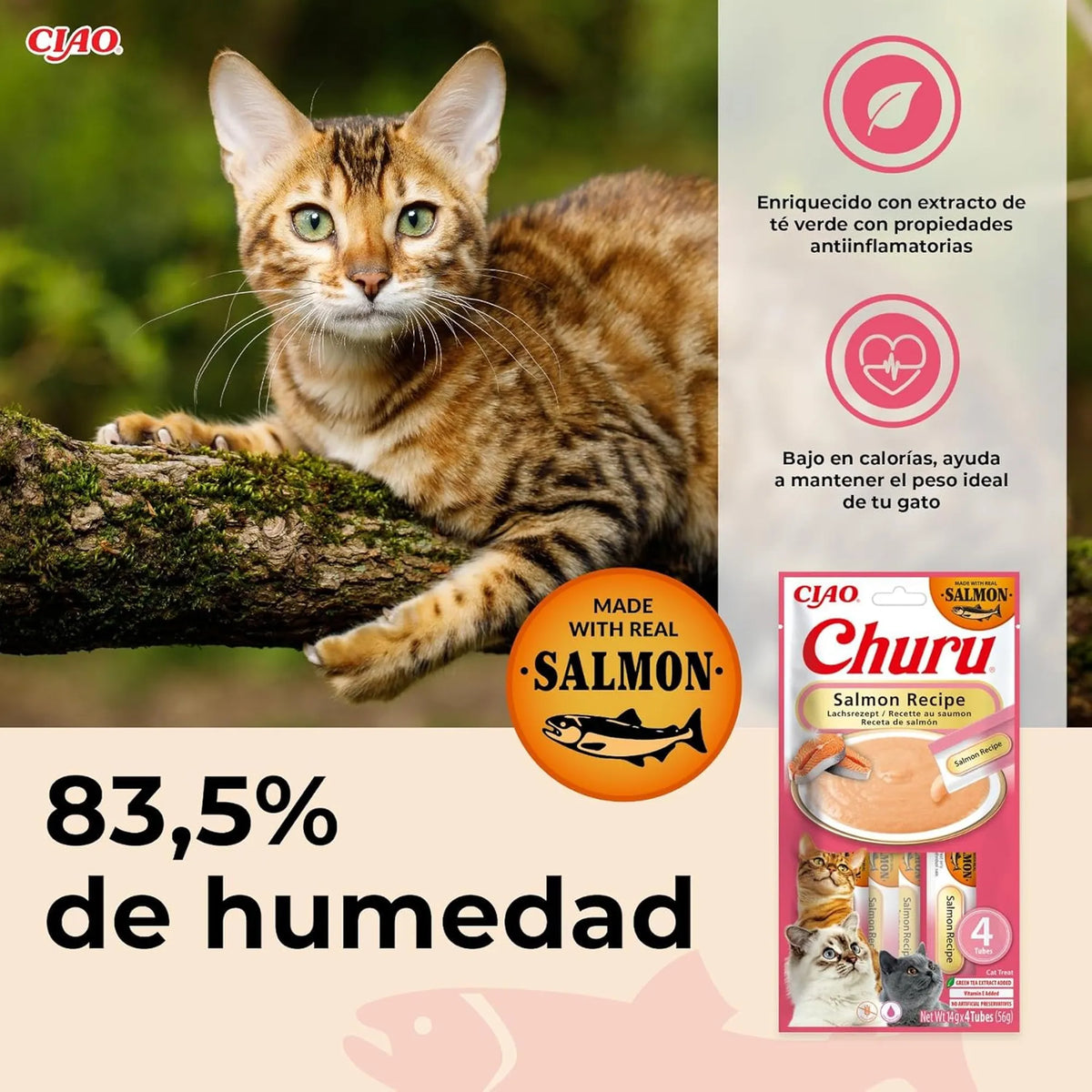 Gato de raza bengalí tumbado en una rama junto al paquete rosa y un rótulo grande sobre la humedad