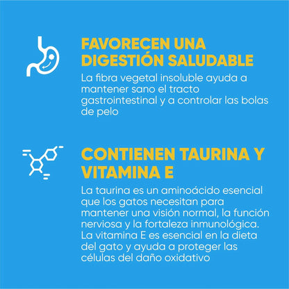 Lámina azul de la marca con dos iconos y dos bloques de texto sobre la receta