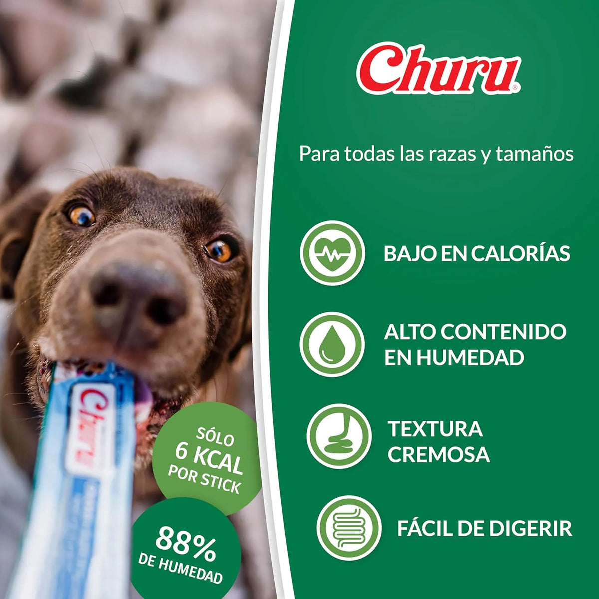 Perro de pelo marrón lamiendo el puré directamente del tubo, junto a iconos de textura y humedad