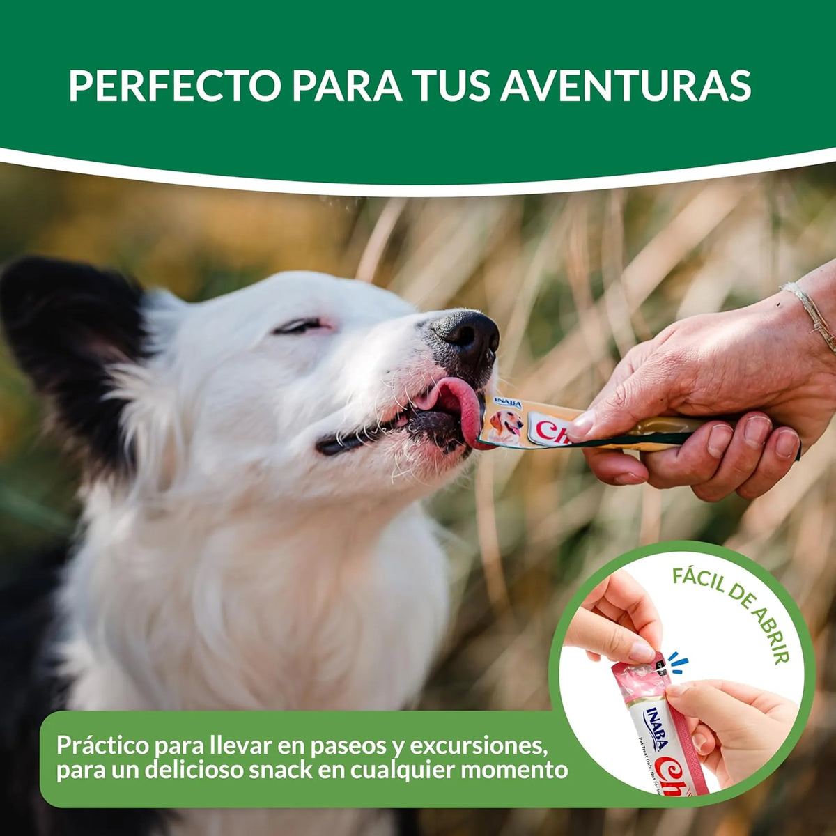 Perro blanco lamiendo un tubo que le da su dueño en el campo, con un recuadro sobre cómo se abre