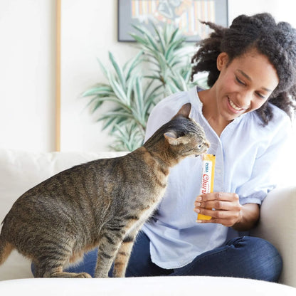 Mujer sonriente dando un tubo de puré a un gato atigrado en el salón de casa