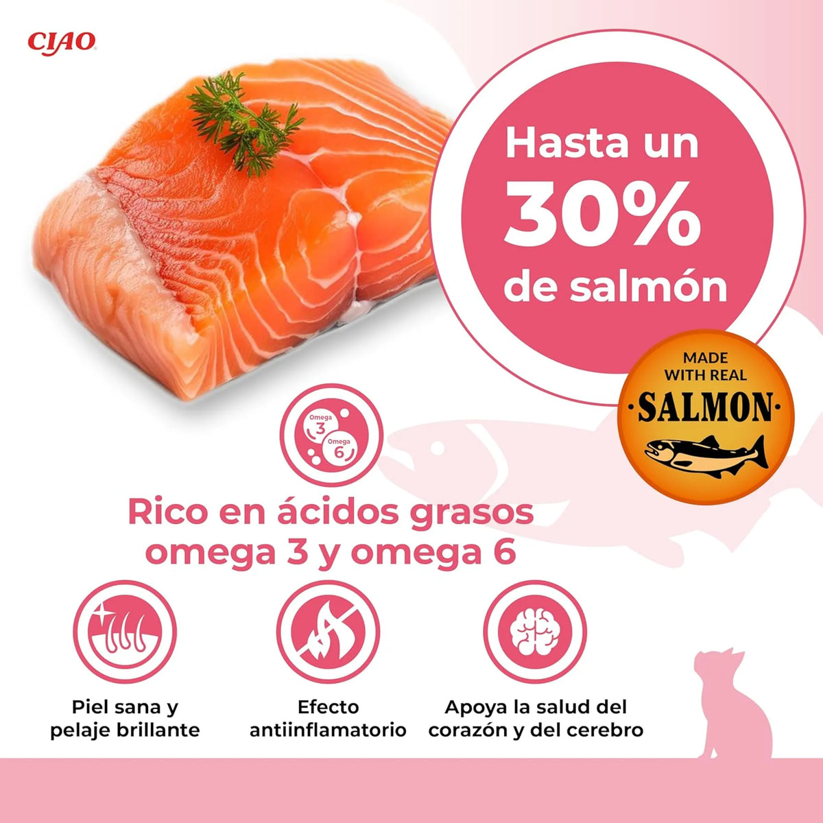 Lomo de salmón crudo junto a un rótulo destacado y a dos iconos circulares
