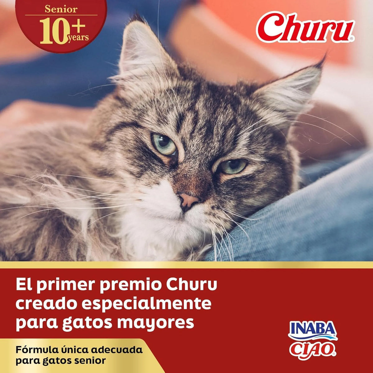 Gato atigrado de pelo largo junto a un rótulo de presentación de la línea Churu Senior