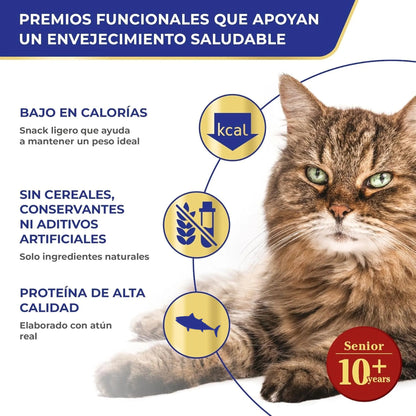 Gato atigrado de pelo largo acompañado de tres rótulos con texto sobre la receta