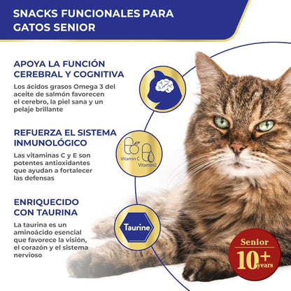 Gato atigrado de pelo largo con otros tres rótulos ilustrados a su alrededor