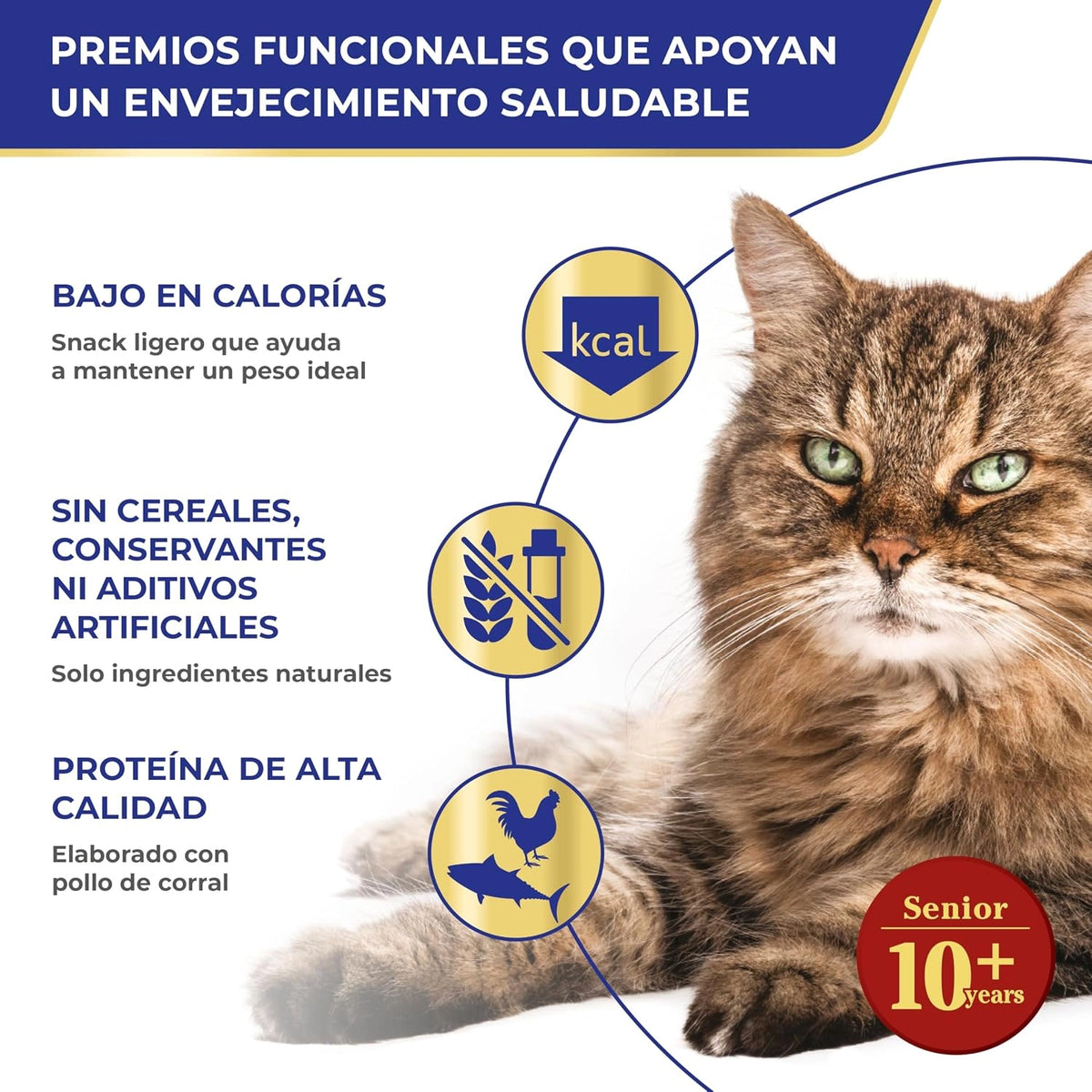 Gato atigrado de pelo largo junto a tres rótulos de la marca sobre calorías, cereales y proteína
