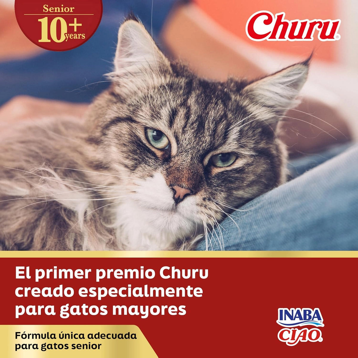 Gato atigrado de pelo largo tumbado junto al rótulo del primer premio Churu creado para gatos mayores