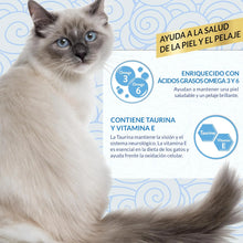 Gato siamés junto a varios rótulos e iconos de la línea Skin & Coat sobre fondo liso