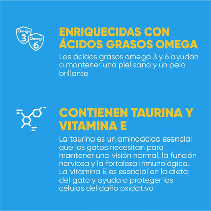 Panel de fondo azul con varios rótulos de texto y pequeños iconos sobre la receta
