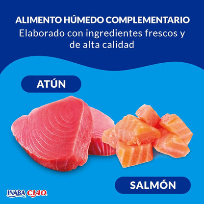 Los pescados de la receta fotografiados sobre fondo azul con el rótulo «Alimento húmedo complementario»