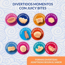 Lámina de Juicy Bites con la forma de cada bocado según el sabor, entre ellos el caldo estilo casero y el sabor calamar