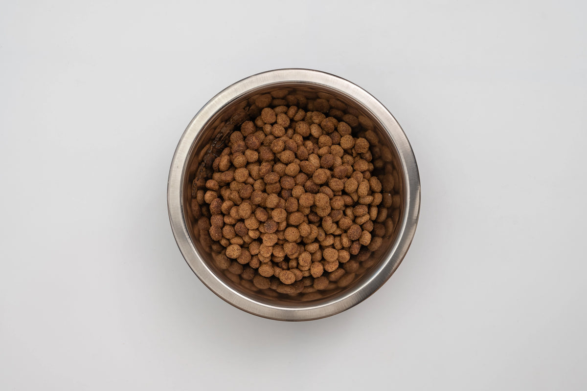Cuenco de metal visto desde arriba con croquetas Veterinary HPM para gato