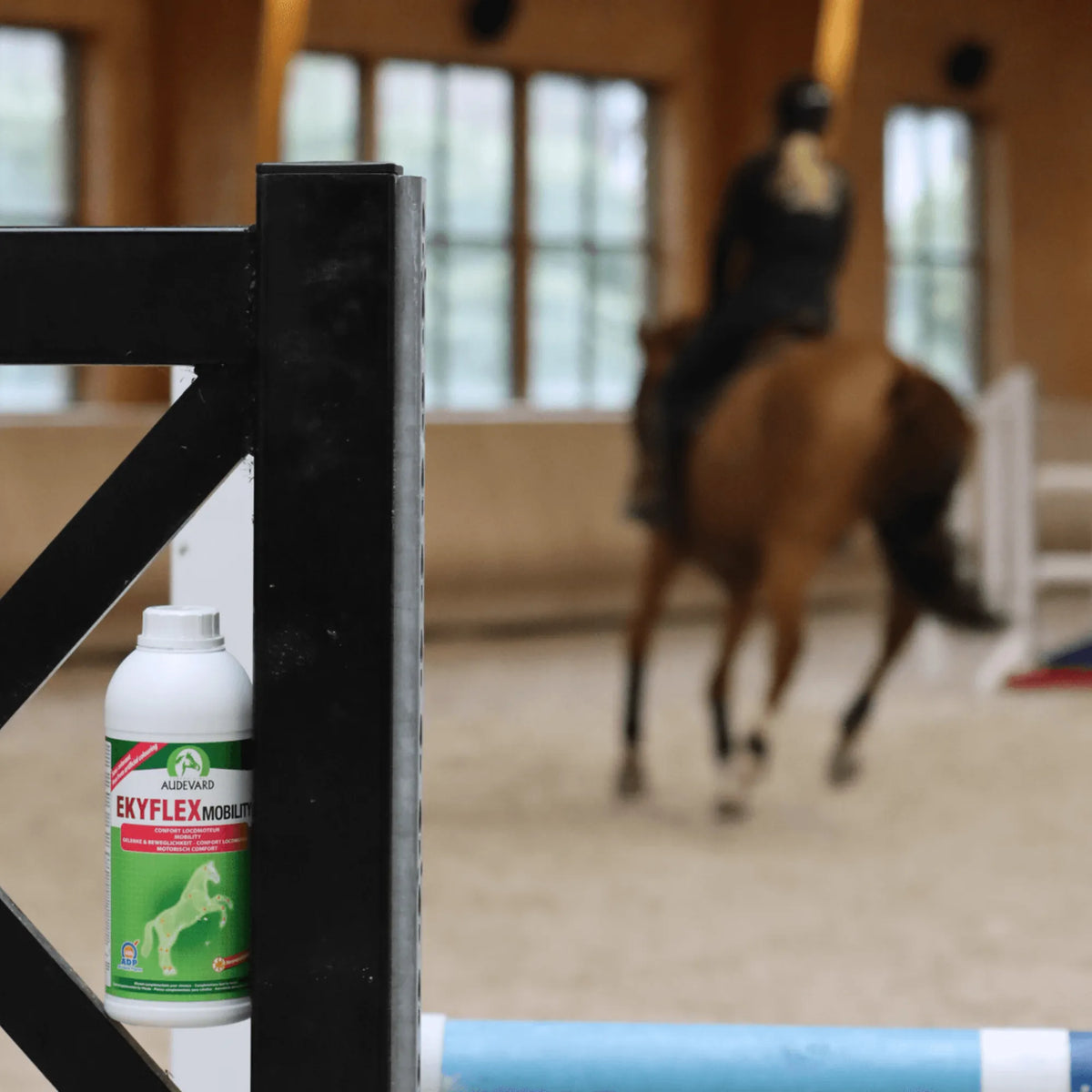 Jinete y caballo en pista de saltos con el bote de Ekyflex Mobility Audevard para caballos delante