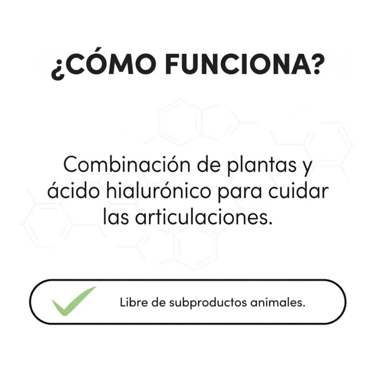 Infografía de cómo funciona la combinación de plantas y ácido hialurónico para las articulaciones
