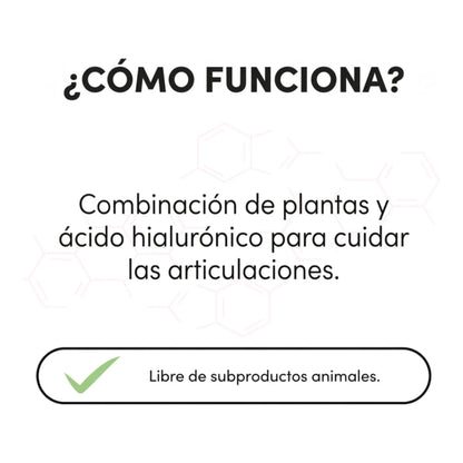 Infografía de cómo funciona la combinación de plantas y ácido hialurónico para las articulaciones