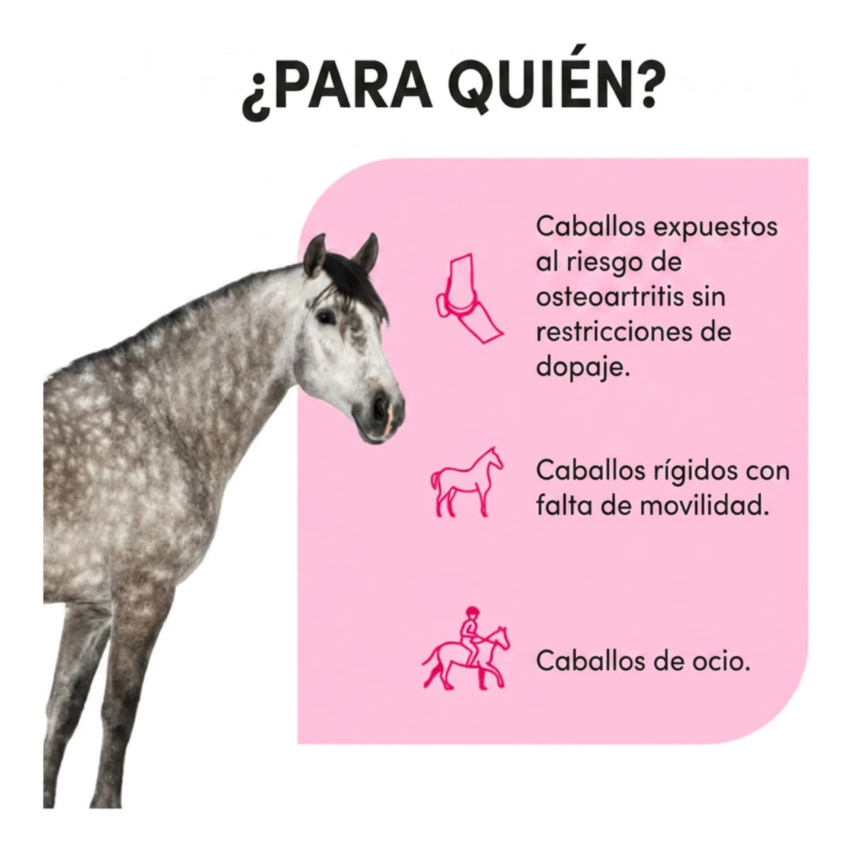 Infografía de para qué caballos se usa: caballos rígidos, de ocio o sometidos a controles antidopaje