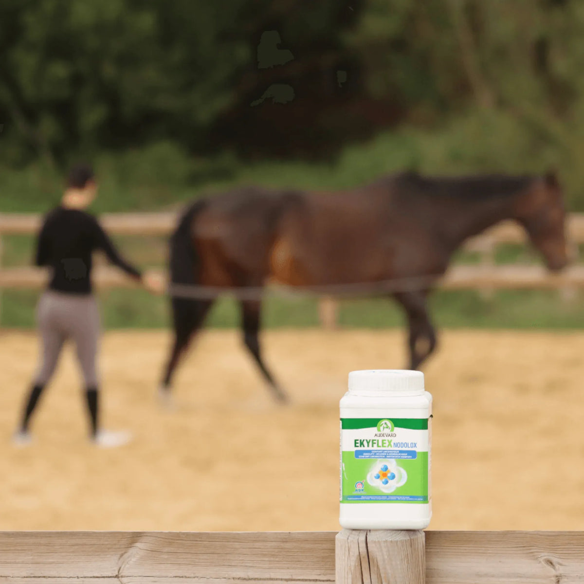 Ekyflex Nodolox Audevard para caballos, bote en primer plano con un caballo moviéndose al fondo