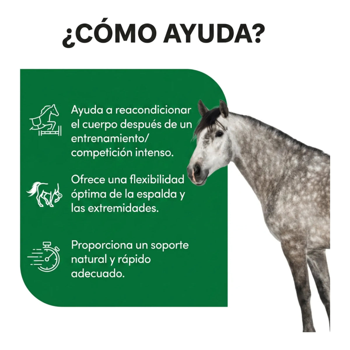 Infografía sobre el apoyo tras el entrenamiento, con un ejemplar tordo
