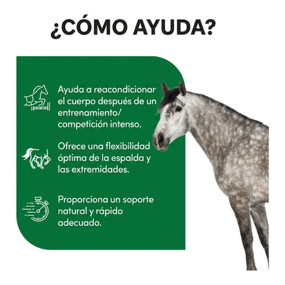 Infografía sobre el apoyo tras el entrenamiento, con un ejemplar tordo
