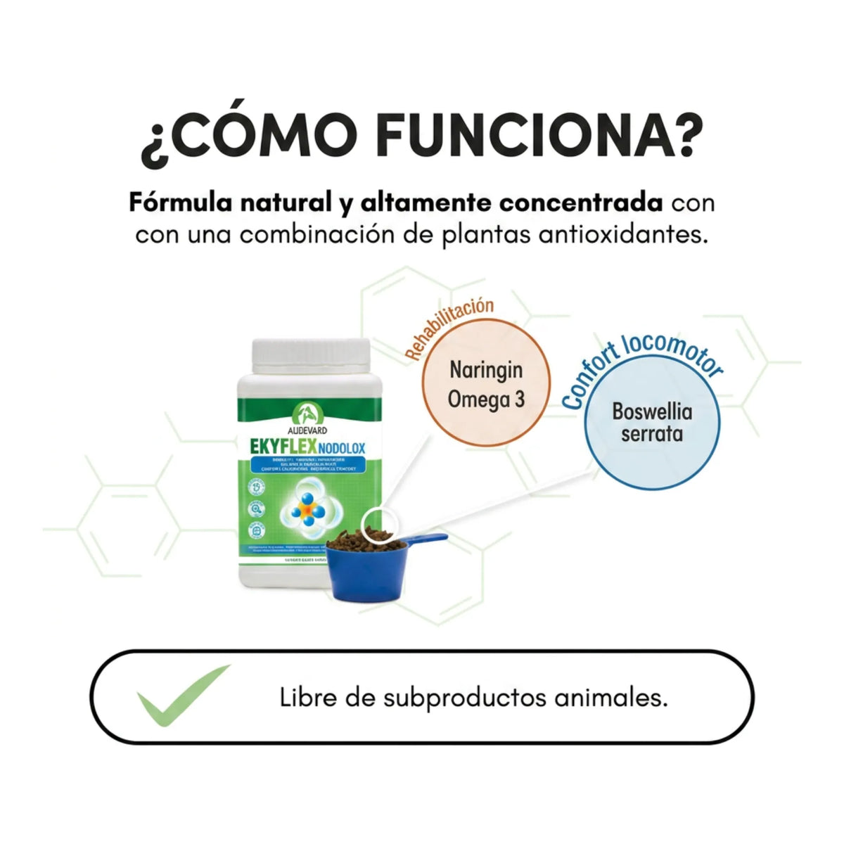 Infografía del funcionamiento de la fórmula con plantas antioxidantes