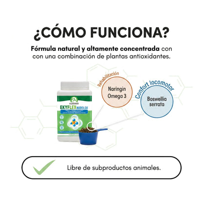 Infografía del funcionamiento de la fórmula con plantas antioxidantes