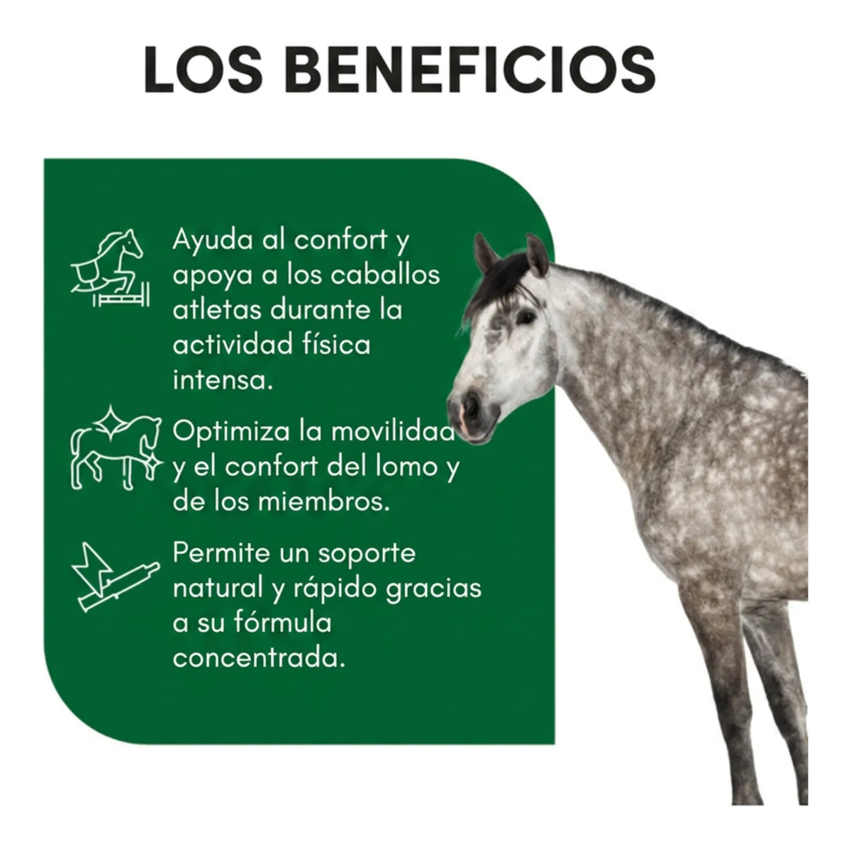 Infografía de beneficios: confort, movilidad y soporte natural en formato jeringa