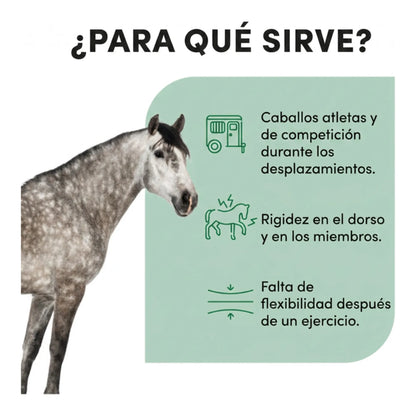Infografía de usos: caballos de competición en desplazamientos y rigidez tras el ejercicio