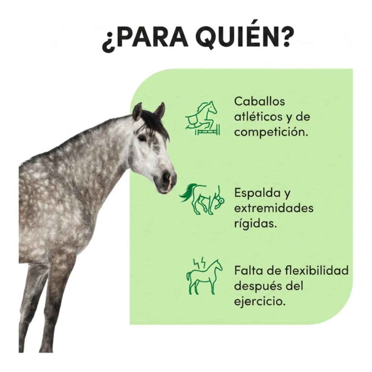 Infografía sobre a qué caballos va dirigido Ekyflex Nodolox Audevard para caballos, con caballo gris