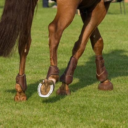 Patas de un caballo con protecciones marrones y una herradura sobre la hierba