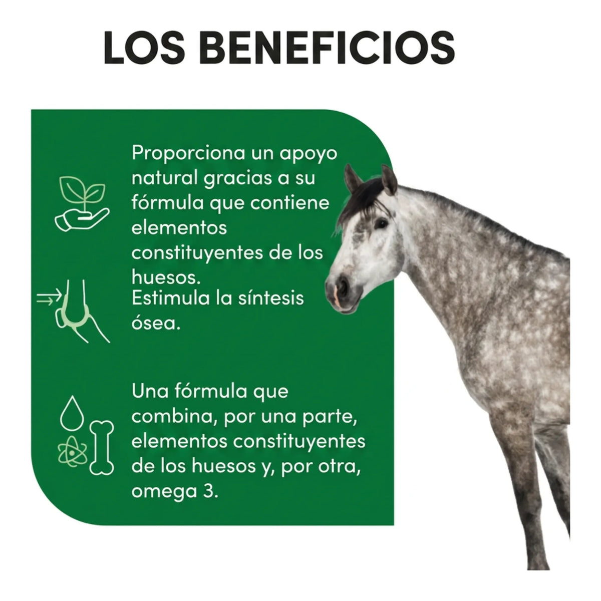 Infografía de los beneficios de Ekyflex Osteo para el esqueleto, con caballo gris