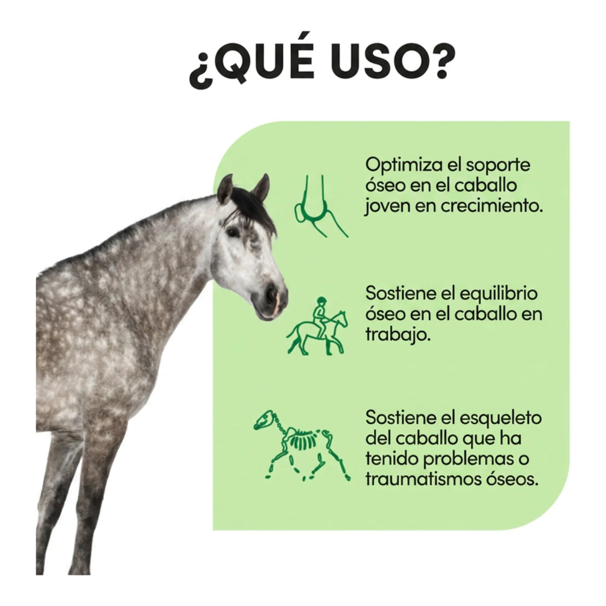 Infografía de usos de Ekyflex Osteo Audevard para caballos, con caballo gris