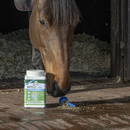 Caballo marrón comiendo junto al bote de Ekyflex Tendon Evo para caballos en la cuadra
