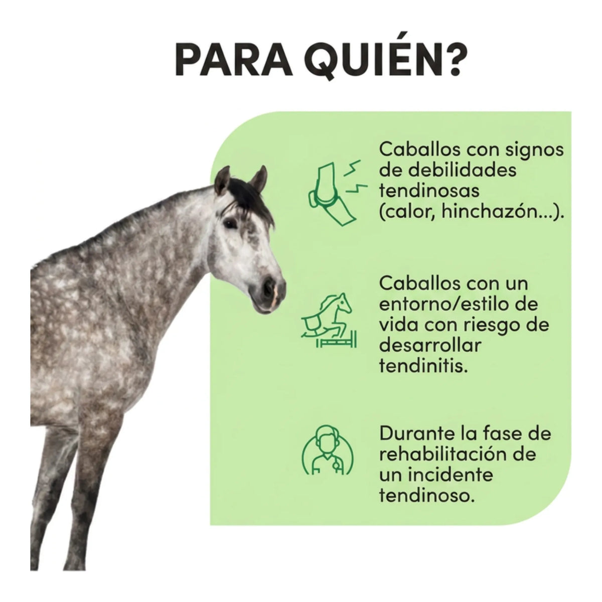 Infografía de para qué caballos se usa: debilidad tendinosa, entrenamiento exigente y rehabilitación
