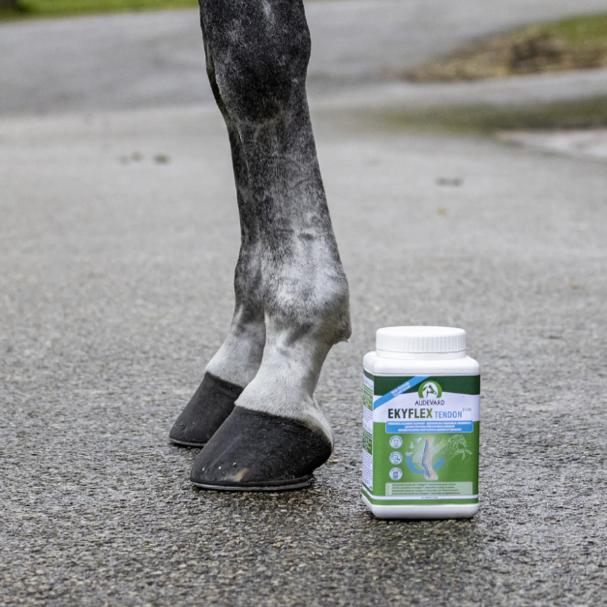 Patas de caballo gris con el bote de Ekyflex Tendon Evo para caballos a su lado