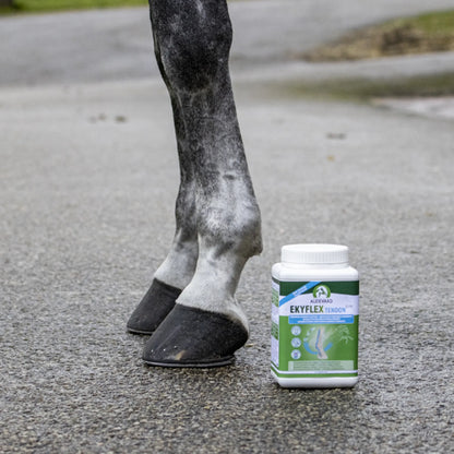 Patas de caballo gris con el bote de Ekyflex Tendon Evo para caballos a su lado