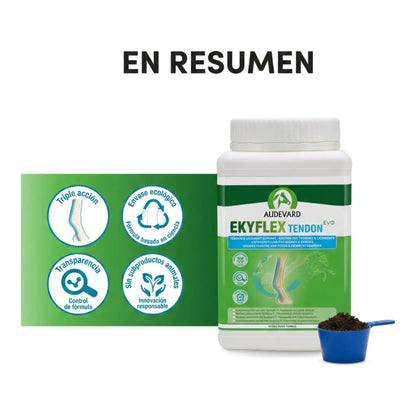 Resumen visual de Ekyflex Tendon Evo para caballos con cacito y sellos de calidad