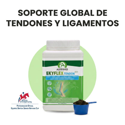 Bote de Ekyflex Tendon Evo para caballos con cacito azul y titular de soporte de tendones