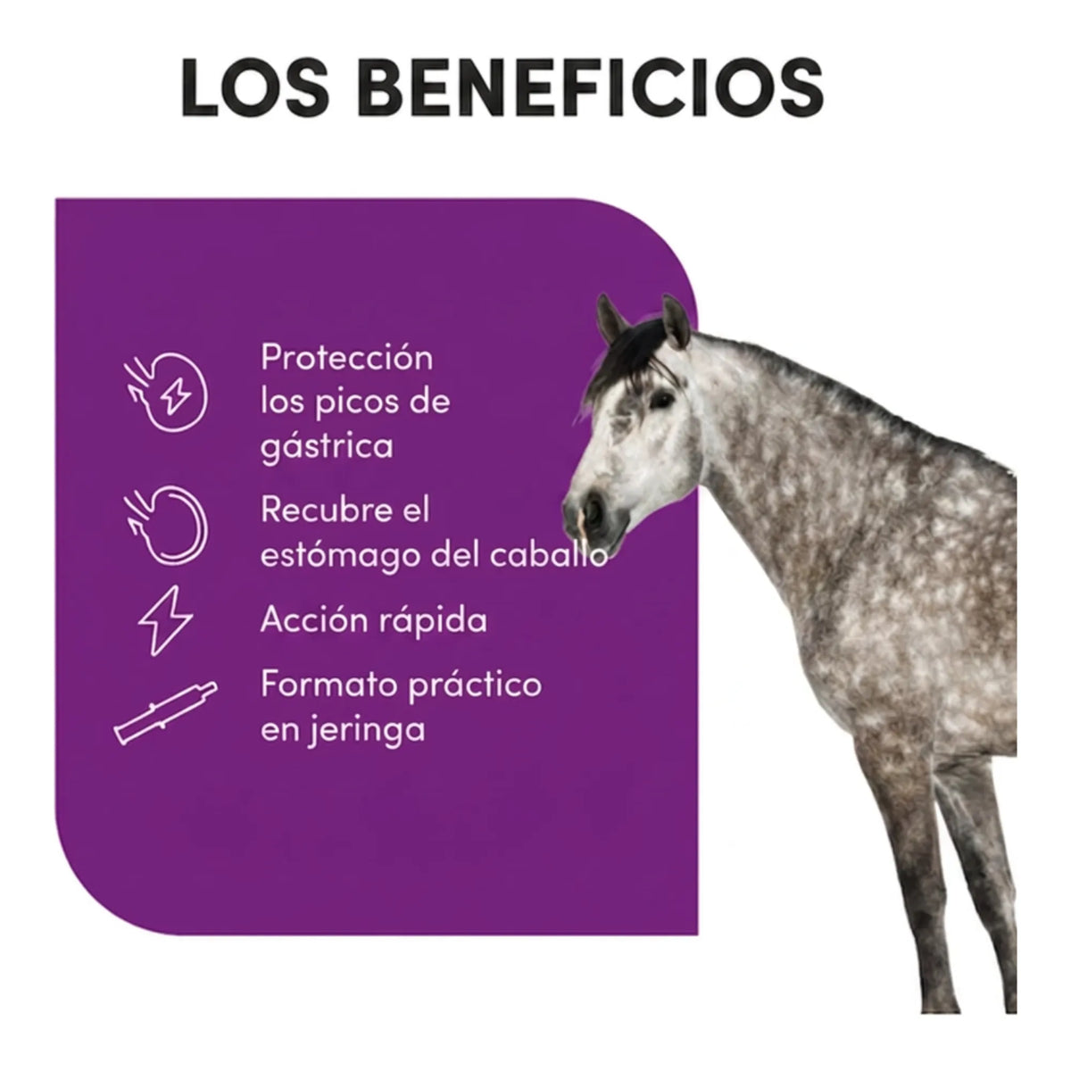 Infografía de beneficios: acción rápida y formato práctico en jeringa para el estómago del caballo
