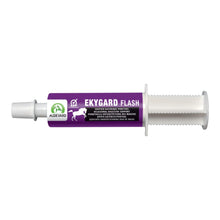 Jeringa oral de 60 ml de Ekygard Flash Audevard para caballos sobre fondo blanco
