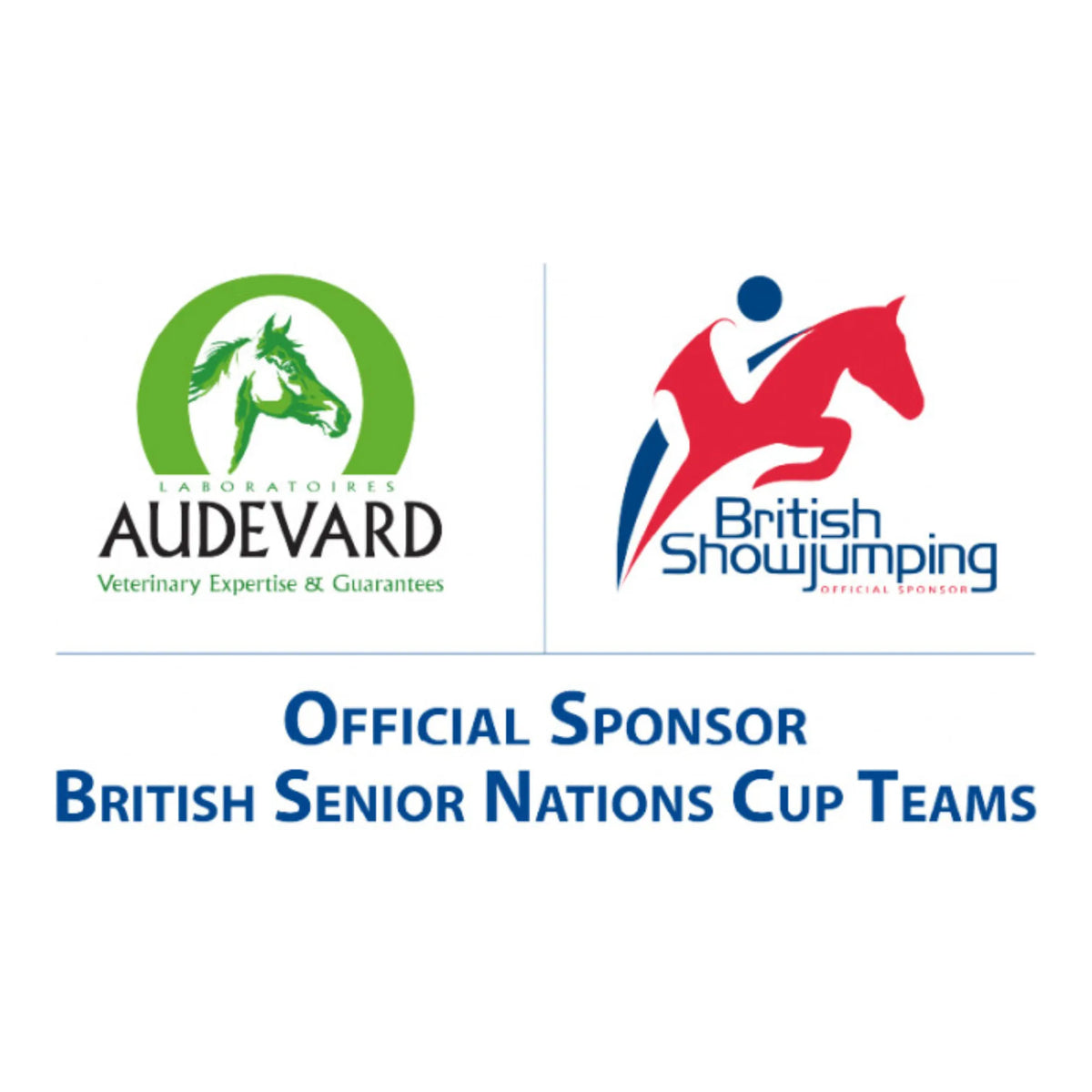 Logotipo de Audevard como patrocinador oficial de los equipos británicos de la Senior Nations Cup de saltos