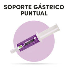 Jeringa de Ekygard Flash Audevard para caballos sobre círculo lila con el titular de soporte gástrico puntual