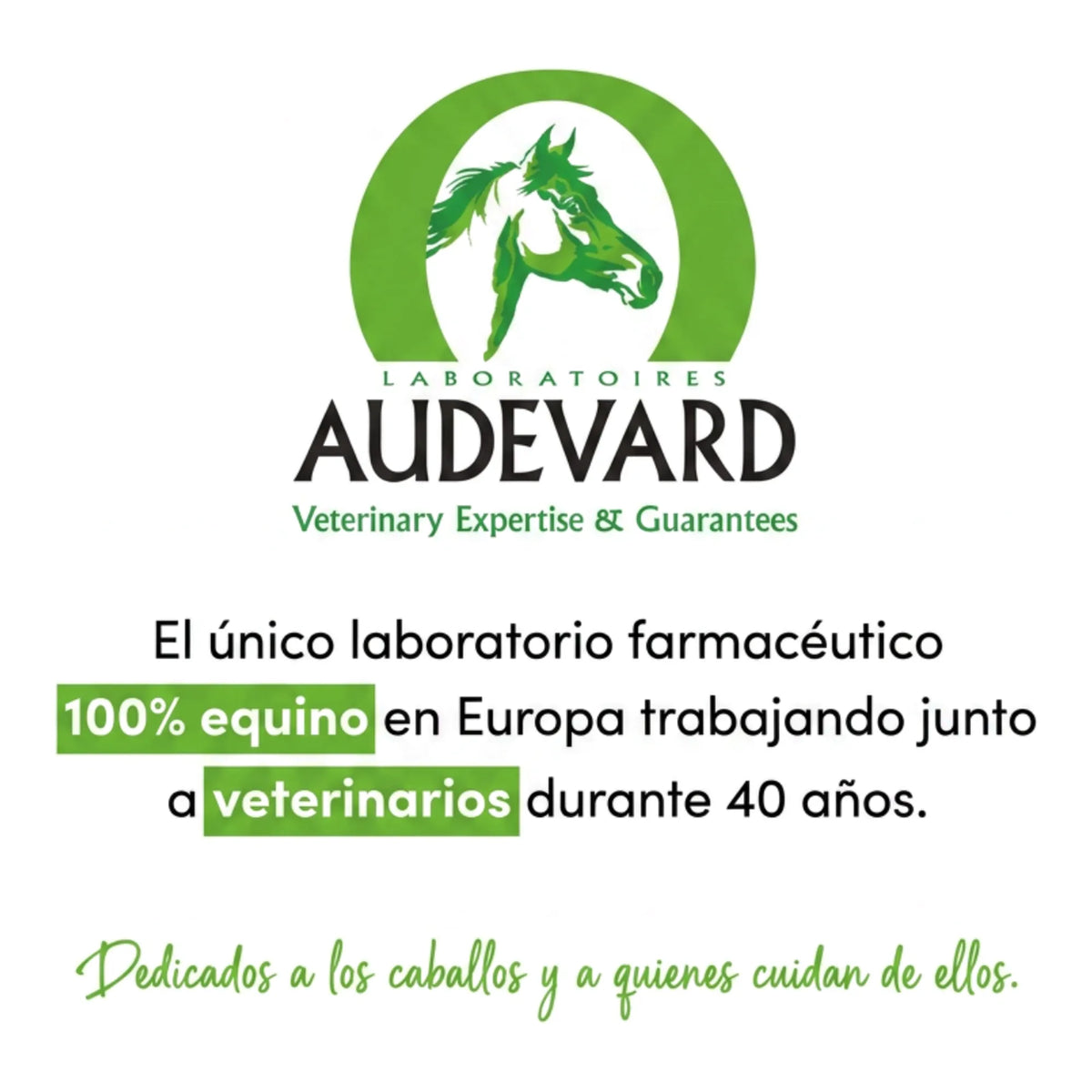 Logotipo de Laboratorios Audevard, laboratorio farmacéutico equino con 40 años de experiencia junto a veterinarios
