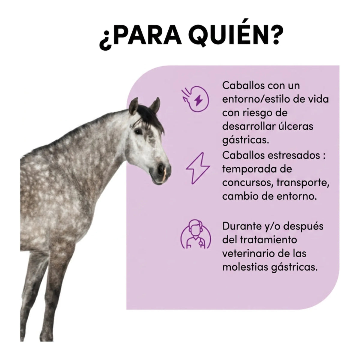 Infografía de para qué caballos se usa: caballos estresados o con riesgo de molestias gástricas