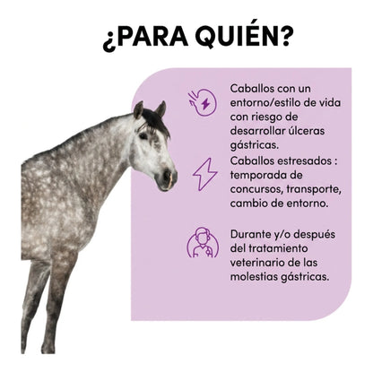 Infografía de para qué caballos se usa: caballos estresados o con riesgo de molestias gástricas