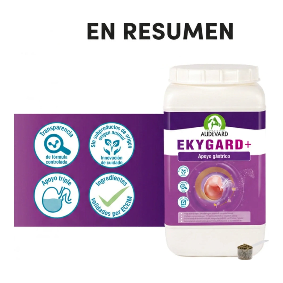 Resumen visual de Ekygard Audevard protector gástrico para caballos con cacito y sellos de calidad