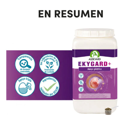 Resumen visual de Ekygard Audevard protector gástrico para caballos con cacito y sellos de calidad