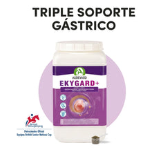 Bote de Ekygard Audevard protector gástrico para caballos con cacito y el titular de triple soporte gástrico